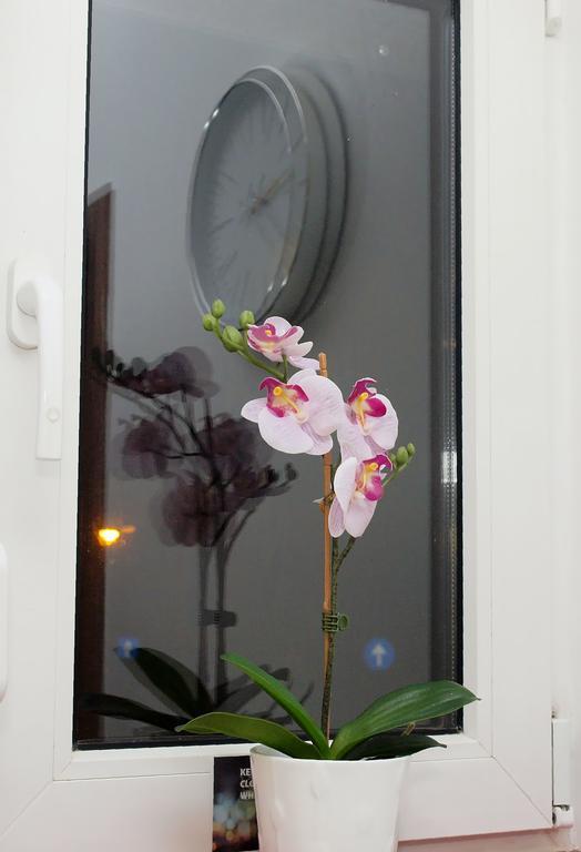 Appartement Fancy 1Bd Family Friendly In Historical Centre à Bucarest Extérieur photo